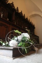 IMG_9034.jpg