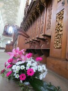 IMG_9946.jpg