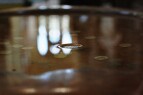 DSC_0215.JPG