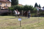IMG_7741.JPG