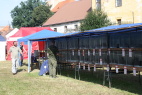 IMG_7745.JPG