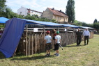 IMG_7753.JPG