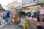 IMG_7775.JPG