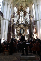 IMG_7956.JPG