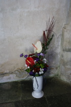IMG_7984.JPG