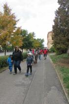 IMG_6010.jpg