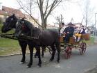 Velikonoce 2010 057.jpg