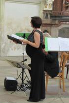 IMG_2242.jpg