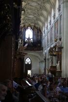 IMG_1973.jpg