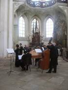 IMG_7379.jpg