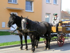 p1010002.JPG
