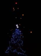 100_9289.jpg