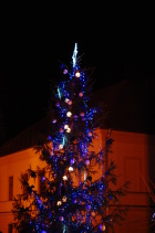 DSC_0480.JPG