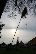 IMG_4993.jpg
