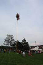 IMG_5064.jpg