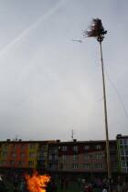 IMG_5097.jpg