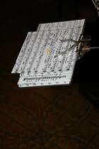 IMG_3899.jpg