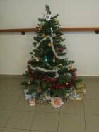 IMG_2523.jpg