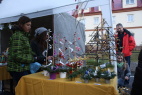 IMG_0753.JPG