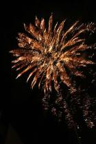 IMG_6695.jpg