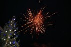 DSC_0405.JPG