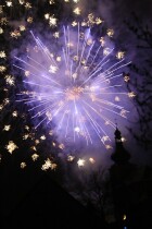 IMG_3389.jpg