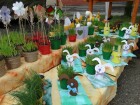 DSC07542.JPG