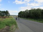 IMG_1373.JPG