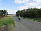 IMG_1374.JPG