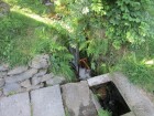 IMG_1393.JPG