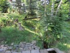 IMG_1394.JPG