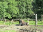 IMG_1397.JPG