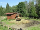 IMG_1398.JPG