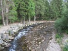 IMG_1408.JPG