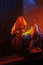 IMG_2645a.jpg