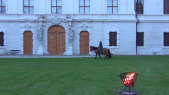 Viking Horse  000009.png