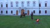 Viking Horse 000011.png