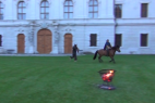 Viking Horse 000013.png