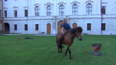 Viking Horse 000016.png