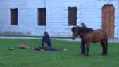 Viking Horse 000017.png