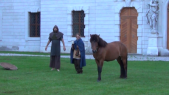 Viking Horse 000020.png