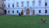 Viking Horse 000015.png