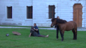 Viking Horse 000019.png
