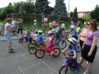 DSC08242.jpg