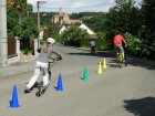 DSC08263.jpg