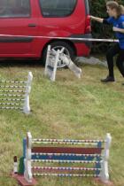 IMG_1359.jpg