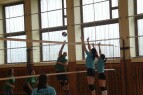 IMG_8122.jpg