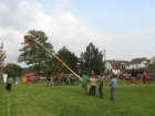 IMG_8036.jpg