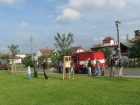 IMG_9251.jpg