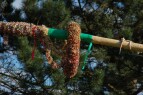 DSC_0056.JPG